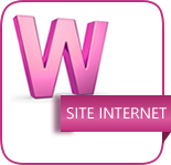 icone site internet